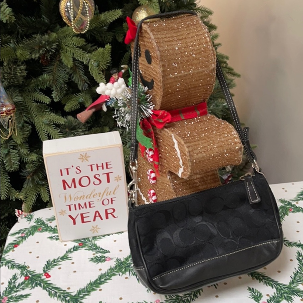 Black Coach Bag